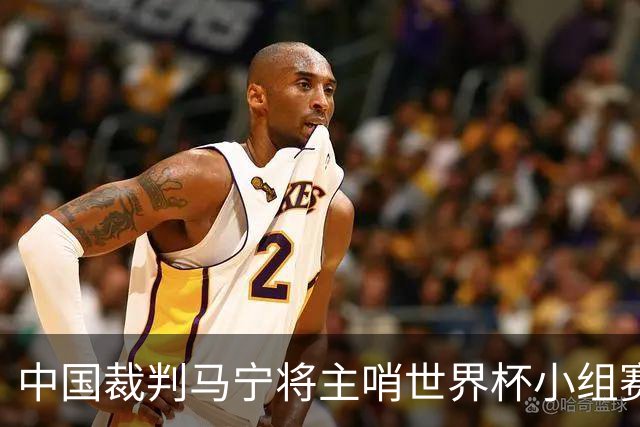 中国裁判马宁将主哨世界杯小组赛第二轮比赛