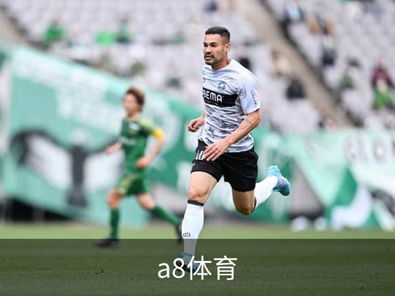 a8体育概况